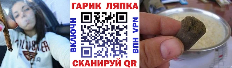 ГАШ ice o lator  Терек 