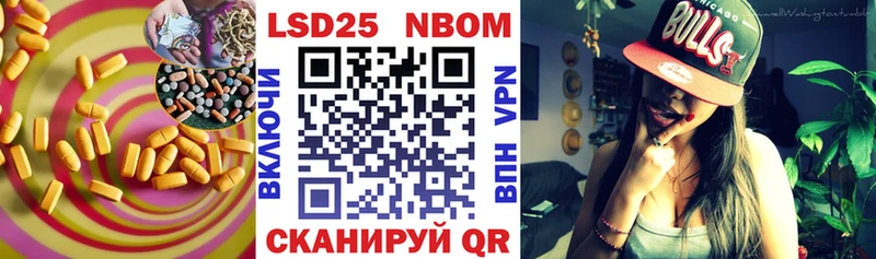 LSD-25 экстази кислота  hydra как войти  Терек 