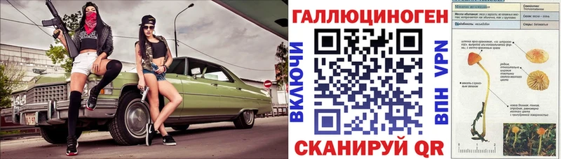 kraken рабочий сайт Терек Галлюциногенные грибы мухоморы