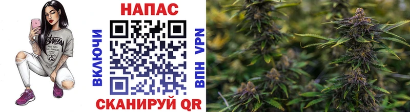 Бошки Шишки White Widow  купить наркотик  Терек 